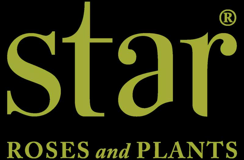 Star Roses & Plants Logo