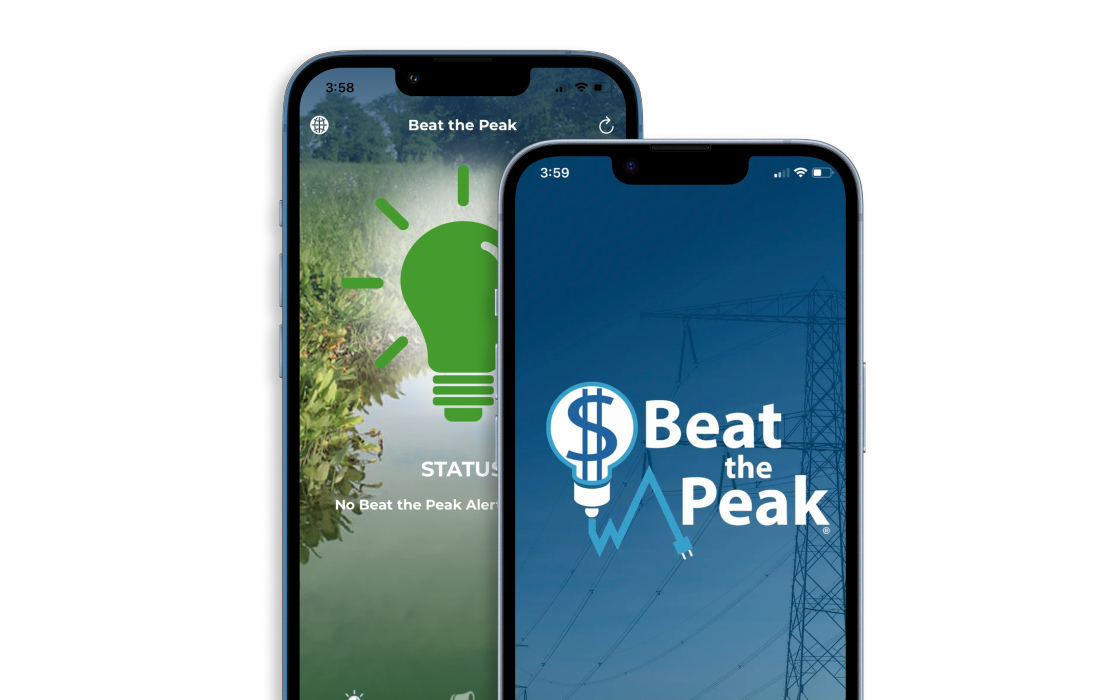 BTP App Updates