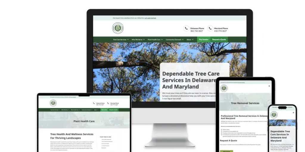 Cypress Tree Care