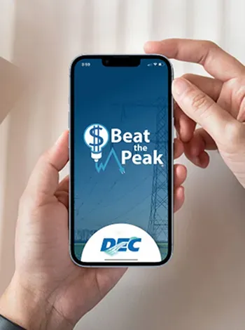 DEC BTP App